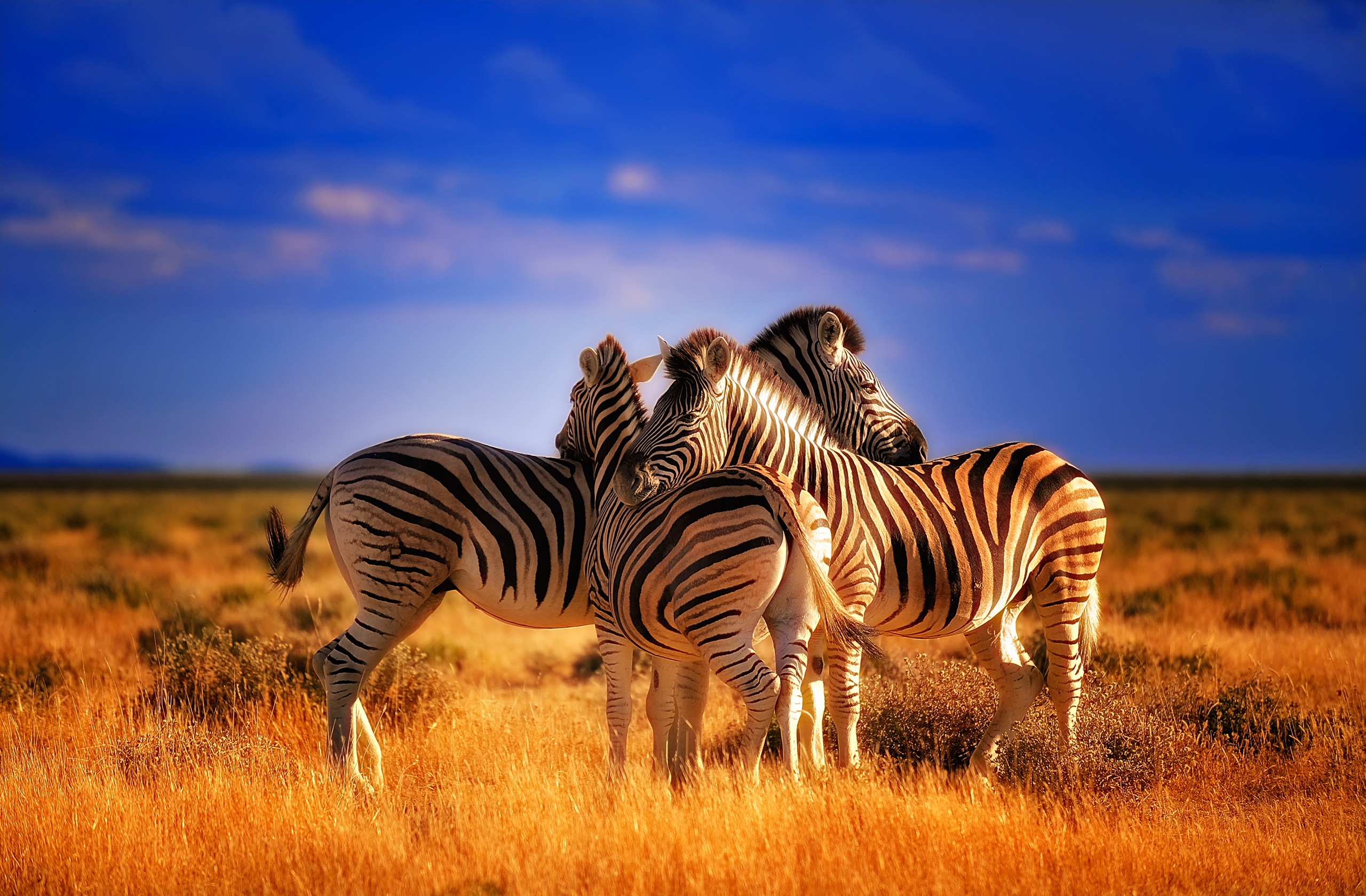 Serengeti National Park