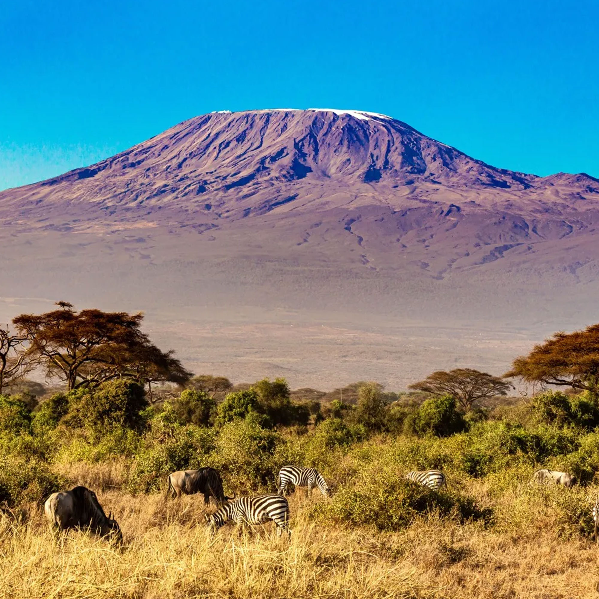 Climb Mount Kilimanjaro with Boaz Adventure